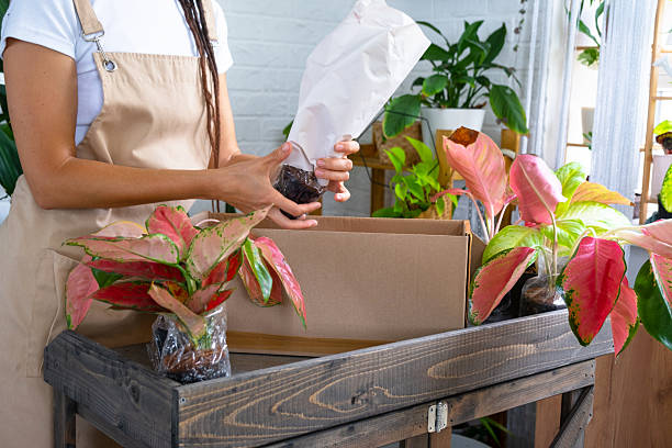 Plant Delivery Services
